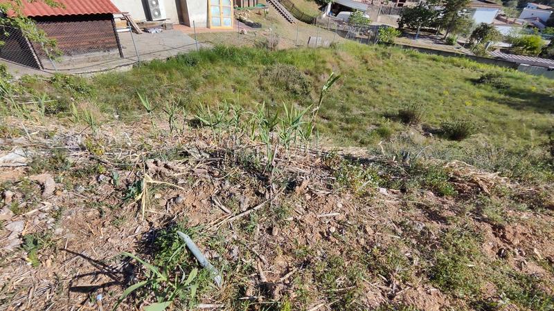 Foto 18e51414-e5cf-48dd-8fc6-0cac7d3127e5. Terreny residencial a Sant Muç Rubí