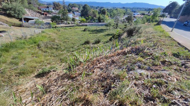 Foto 3f151993-4aba-4ea3-8af1-1dc88c68c246. Terreny residencial a Sant Muç Rubí