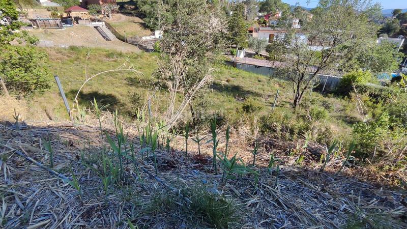 Foto a39820a2-eee0-4ad3-9797-907c5afb5a25. Terreny residencial a Sant Muç Rubí