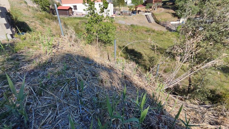 Foto e013889b-7c16-4f82-831d-edd9422b97b2. Terreny residencial a Sant Muç Rubí