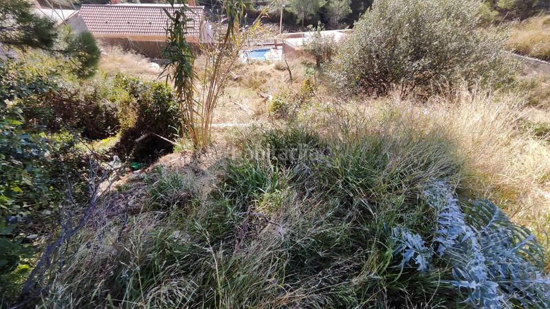 Foto bd8abdca-3a6a-4161-aad6-08ffb864e5ce. Terreno residenziale in Can Palet de Vista Alegre Terrassa