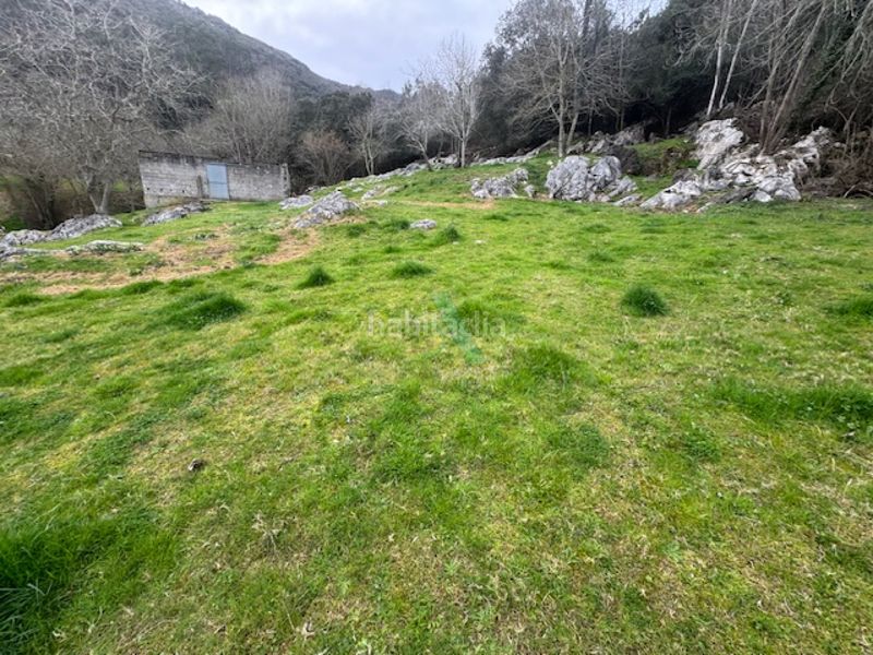 Foto 49609008-bec4-4852-b3fc-37011b1d1810. Finca rústica a Ribadedeva