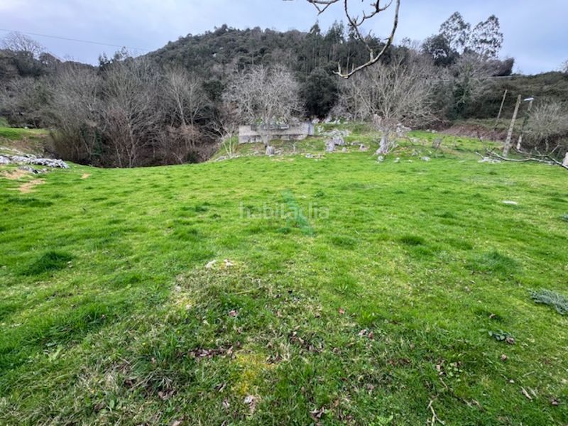 Foto 54fd4a0d-9023-4b52-9d1d-0938d5adb8e3. Finca rústica a Ribadedeva