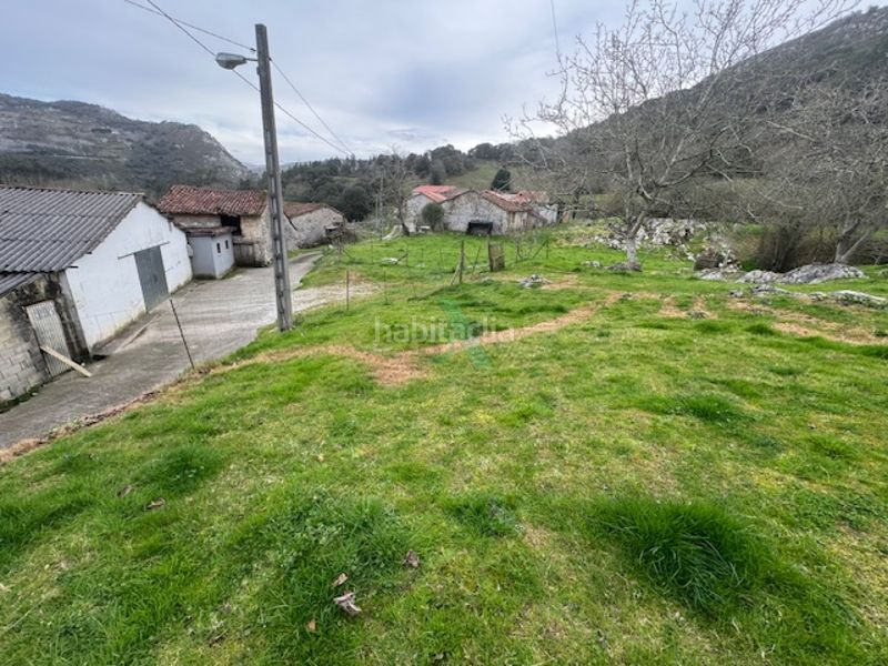 Foto 659f12a9-b88a-48a2-8cb2-ae6fea203e86. Finca rústica a Ribadedeva