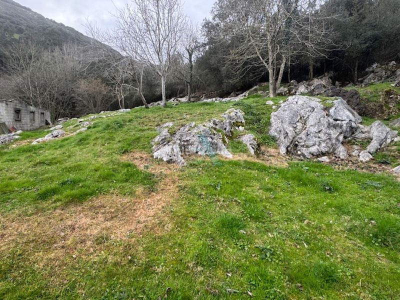 Foto 6ee85e9c-1184-4c18-b24b-fe0e46d4e11b. Finca rústica a Ribadedeva
