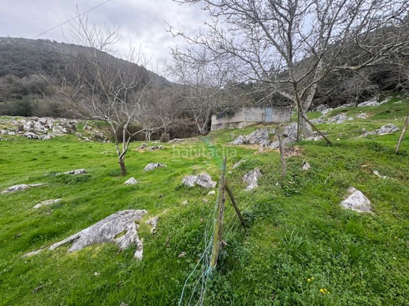 Foto 7fb329ca-9744-4098-b233-f16c6663f3d6. Finca rústica a Ribadedeva