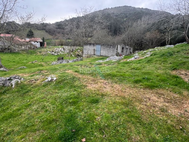 Foto a25679e1-45c5-40a9-a1bb-cda3d1aa8389. Finca rústica a Ribadedeva