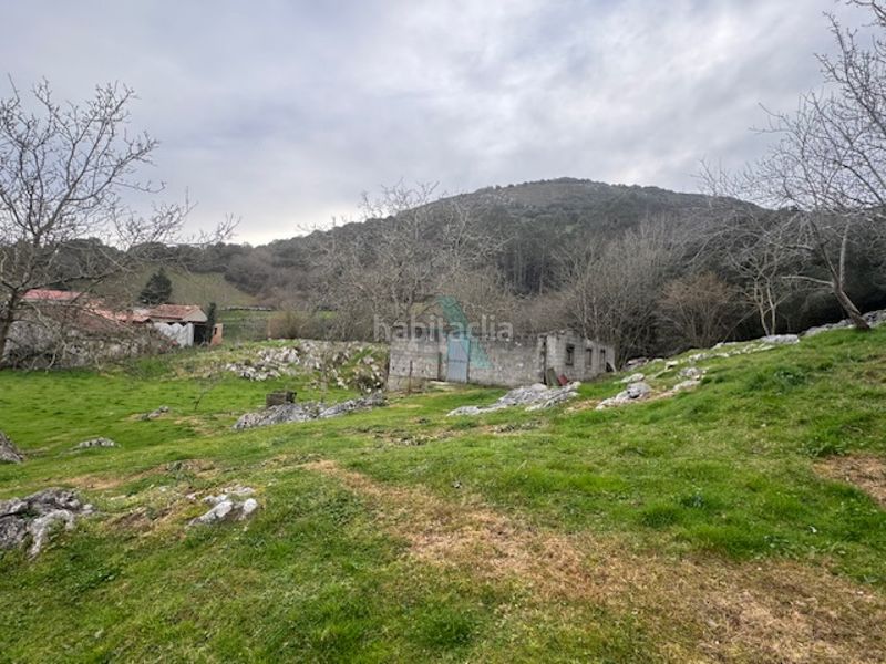 Foto b3aea765-542a-4f03-87ee-3159c307db46. Finca rústica a Ribadedeva