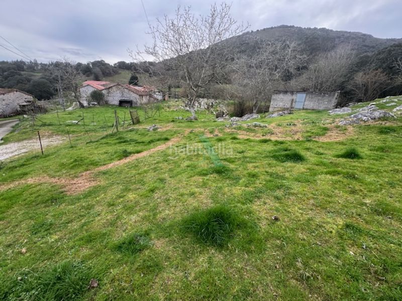 Foto f1fa3551-3b4c-4f13-8708-2ebe30c96194. Finca rústica a Ribadedeva