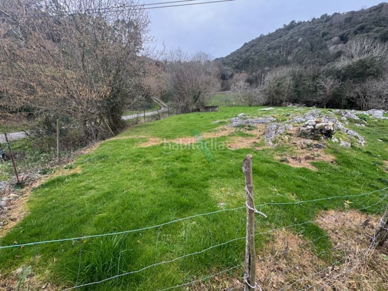 Foto fe75f120-d0ab-4b04-ac0e-60a9851a9de9. Finca rústica a Ribadedeva