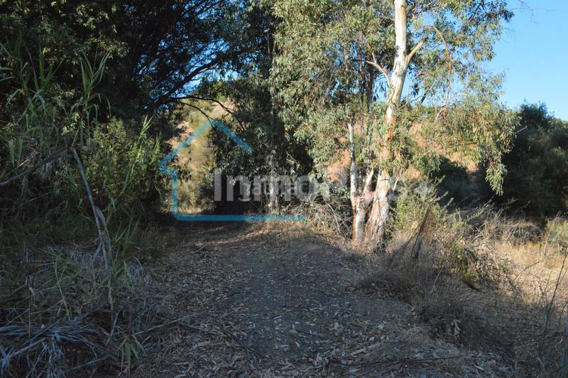 Foto 07401df0-b8dd-4ab9-aa36-fe91ec6b4a72. Masia amb xemeneia calefacció a Guaro