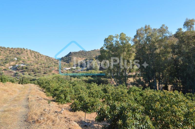 Foto 08b6cdbb-6fd3-41d9-a866-b01b7c6e6b8c. Masia amb xemeneia calefacció a Guaro