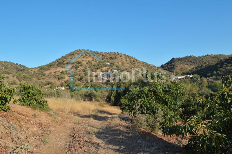 Foto 122d9dfb-12e7-443c-869c-ddc281add4e6. Masia amb xemeneia calefacció a Guaro