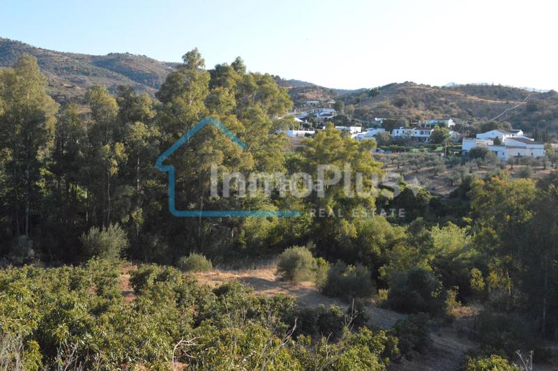 Foto 2148c4a5-bf70-4f1b-a233-553024944cb8. Masia amb xemeneia calefacció a Guaro