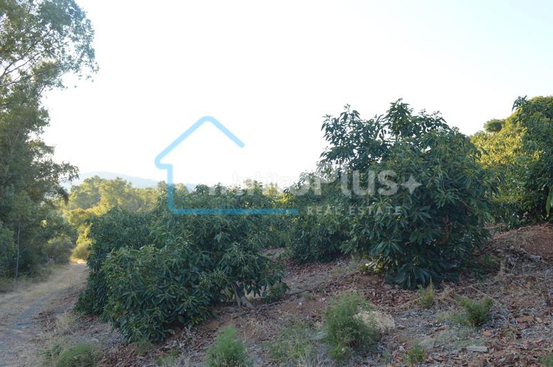 Foto 28f98fb9-45d0-4c1e-bb05-692e93e4598a. Masia amb xemeneia calefacció a Guaro