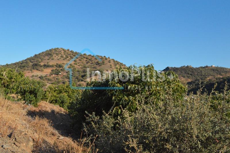 Foto 3acb9d10-5e14-4b3b-a177-955ad926d706. Masia amb xemeneia calefacció a Guaro