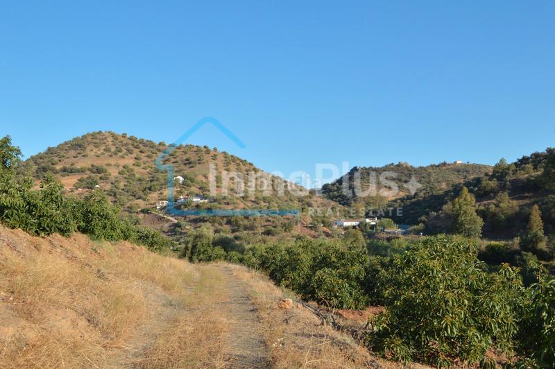 Foto 3de12ee9-a6bd-4471-bfc0-7fc46b0016b4. Masia amb xemeneia calefacció a Guaro