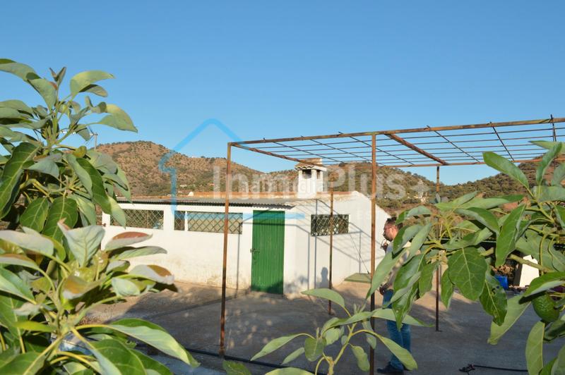 Foto 4e67b1a5-caa1-443d-99d8-1d03dc4a2c67. Masia amb xemeneia calefacció a Guaro