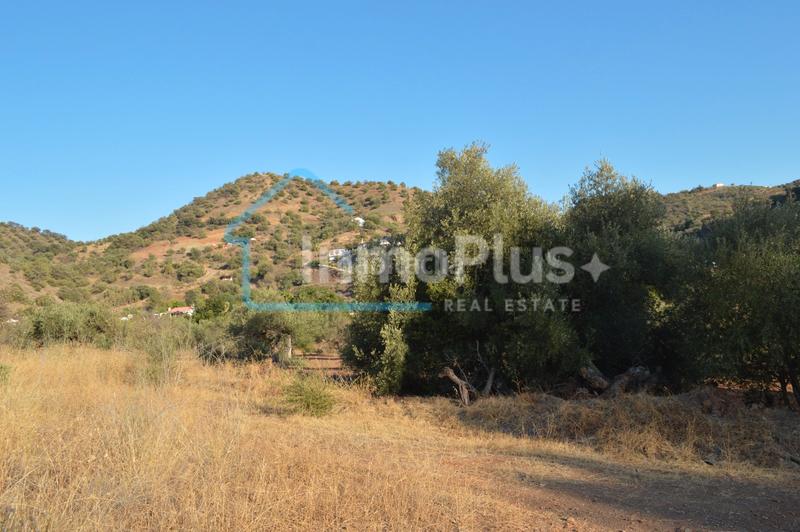 Foto 59c8b11e-b8fa-4058-ab3a-0308f5776891. Masia amb xemeneia calefacció a Guaro