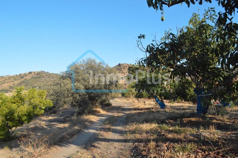 Foto 761a2bc1-f2ed-45f2-92c6-e0f5d1b5afb3. Masia amb xemeneia calefacció a Guaro