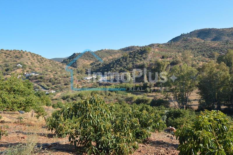 Foto 859ddf37-72f8-4b1b-b0c2-6f4bfa245ca7. Masia amb xemeneia calefacció a Guaro