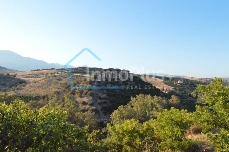 Foto 93320363-0fe4-43a2-97f2-8f21ab1dacf0. Masia amb xemeneia calefacció a Guaro