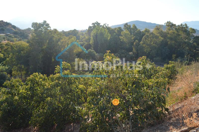 Foto 9e5451c7-a700-4d5e-b2e2-e8e963876e47. Masia amb xemeneia calefacció a Guaro