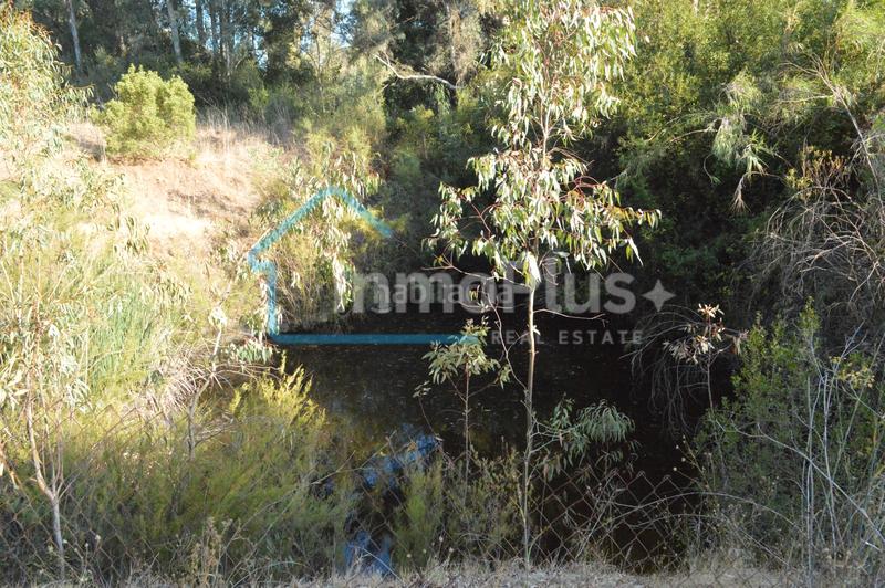 Foto a1be406b-7c55-445c-9c5b-b091ff7f32bc. Masia amb xemeneia calefacció a Guaro