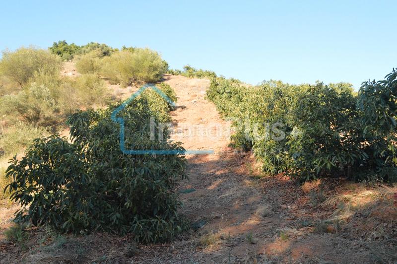 Foto a80ce1a3-7044-4bc1-876e-72e1373487ae. Masia amb xemeneia calefacció a Guaro