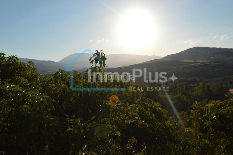 Foto a892bd96-7236-482c-8486-d0b7c76614a2. Masia amb xemeneia calefacció a Guaro