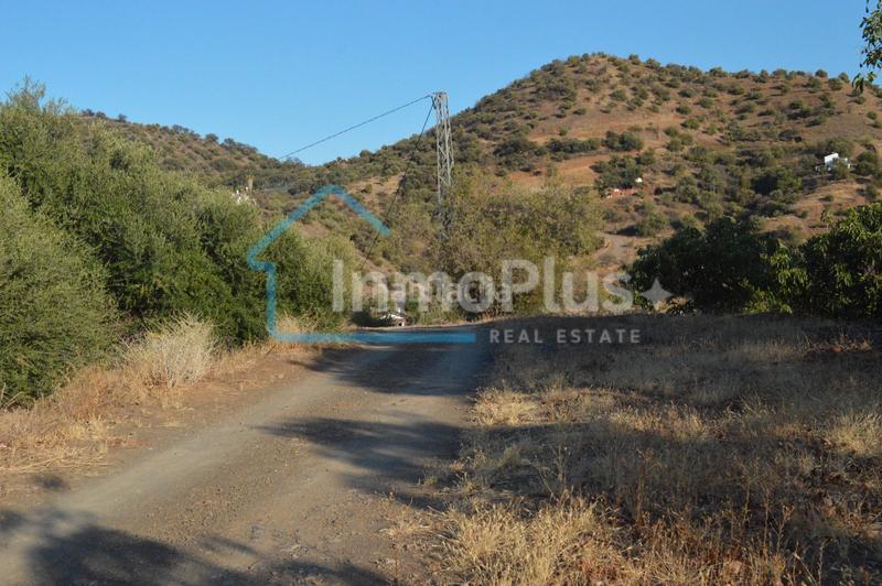 Foto b01d62ec-bd9c-44e8-9105-5ebab1b9c151. Masia amb xemeneia calefacció a Guaro