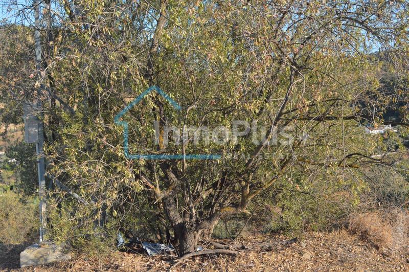 Foto bd0ab95c-b1d9-49f1-8d83-d3a85ad1fe58. Masia amb xemeneia calefacció a Guaro