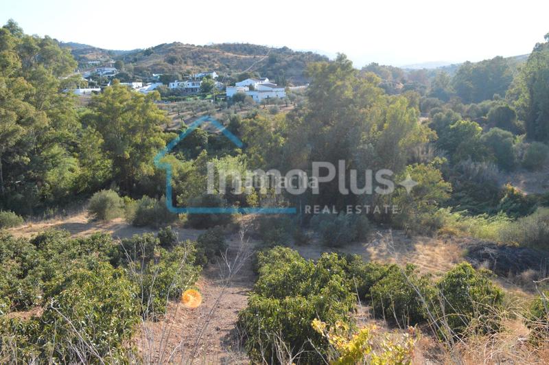 Foto c74b6400-0f1c-4b16-a463-20d43a9b2d6f. Masia amb xemeneia calefacció a Guaro