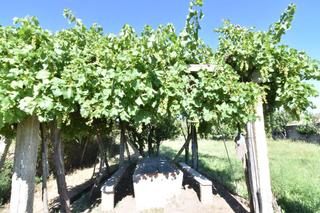 Masia en La torrecilla. Finca rst. en venta en ciudad rodrigo.