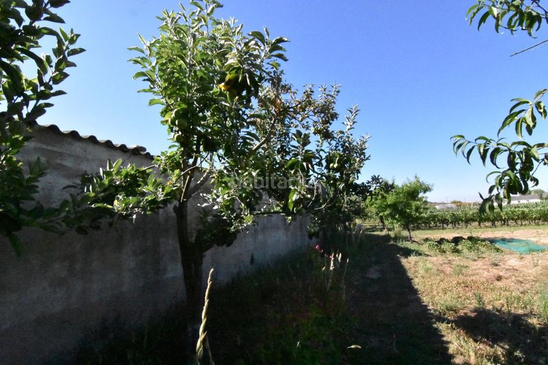 Foto 08c28095-3bd8-4c08-b4e1-6f6f127c6aaf. Country house in la torrecilla in Ciudad Rodrigo