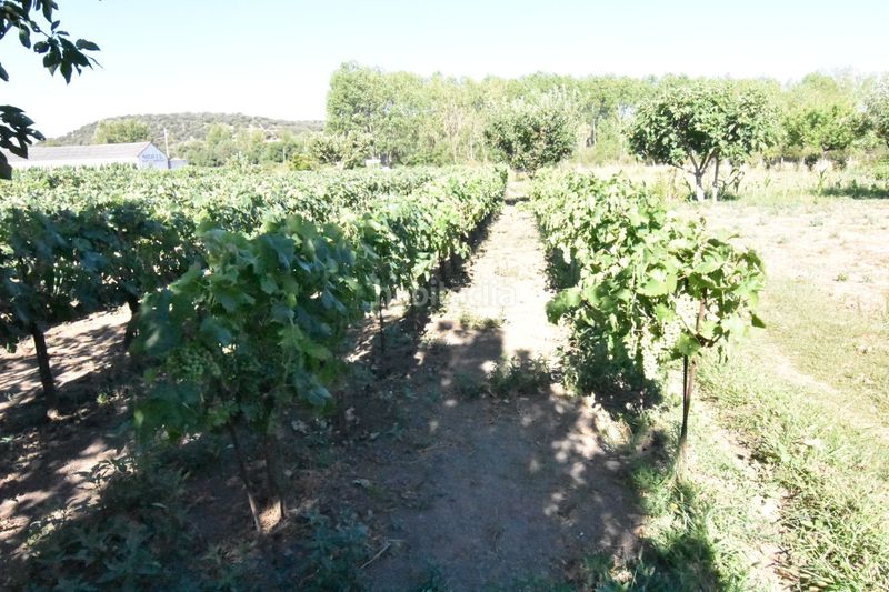 Foto 36f5b83c-a5c2-4202-94d1-9bcf31c17507. Country house in la torrecilla in Ciudad Rodrigo