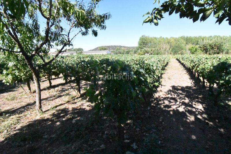 Foto 4831f885-477e-49ed-bae1-cd349993c9ae. Country house in la torrecilla in Ciudad Rodrigo