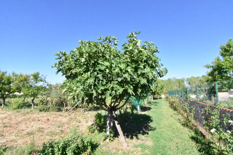 Foto 7402e0b0-eb57-4b95-ad4a-e628cd1c3004. Country house in la torrecilla in Ciudad Rodrigo