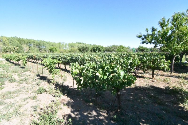 Foto 8025a422-f8f2-4abd-8784-664f8bb33d6f. Country house in la torrecilla in Ciudad Rodrigo