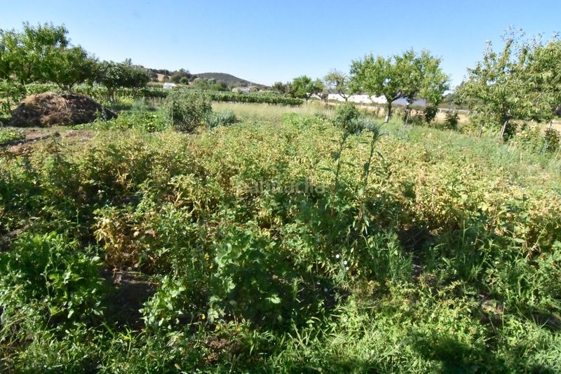 Foto ab661b14-daf0-46f4-b51d-56b81acb2d87. Country house in la torrecilla in Ciudad Rodrigo