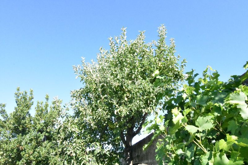 Foto b3b0a78d-76d6-4862-85f3-30c0e3d36e2e. Country house in la torrecilla in Ciudad Rodrigo