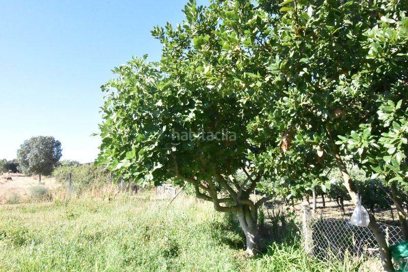 Foto c3fd80bc-baf9-4154-9e15-fd5e9f61292f. Country house in la torrecilla in Ciudad Rodrigo