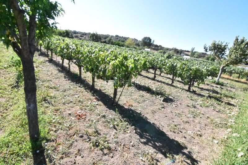Foto e6c361a8-e1b7-40ff-9b22-05df700ae74b. Country house in la torrecilla in Ciudad Rodrigo