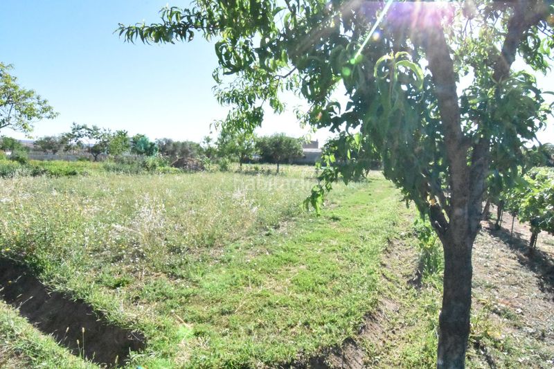 Foto edbbc890-7234-41d6-8182-182031c03dc8. Country house in la torrecilla in Ciudad Rodrigo