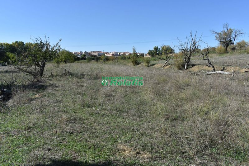 Foto 2efadb19-c3e7-4011-adcc-6d01c8bdbde9. Masia a valhondo a Ciudad Rodrigo