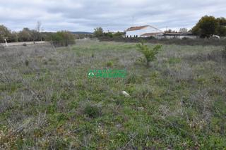Masia a Las viñas. Finca rúst. en venta en las viñas.