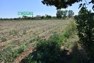 Masia a N/a. Finca rúst. en venta en el puente.