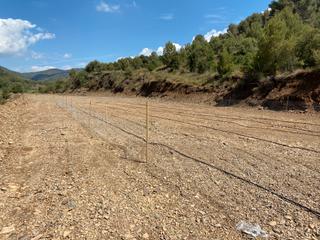 Lloguer Finca rústica a Riudecols. Alquiler · venta terrenos total o parcialmente · riudecols (tarr