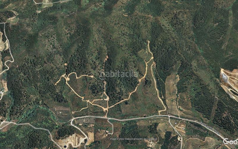 Foto 48e0b59a-fcb0-4892-9585-6e9acea288c2. Alquiler finca rústica pastoreo alquiler finca (hasta 674.000 m2.) total o parcialmente ideal para el pastoreo de todo tipo (tarragona).. en Riudecols