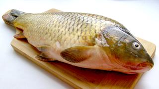 Miete Gewerbliches Grundstück in Plaça de l'església 2. Piscifactoría + solar alquiler en tarragona (españa) de agua dul